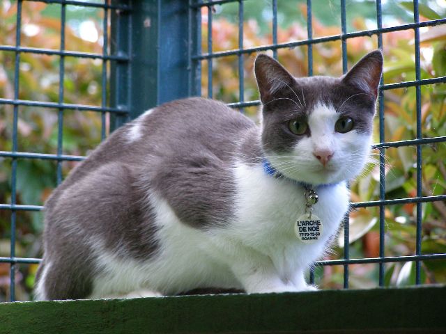 Dora