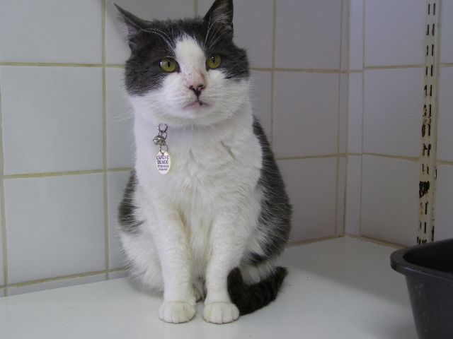 Marcel