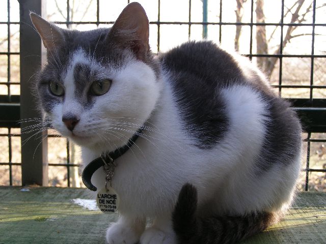 Tom