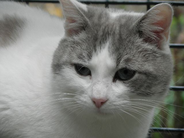 Mimi