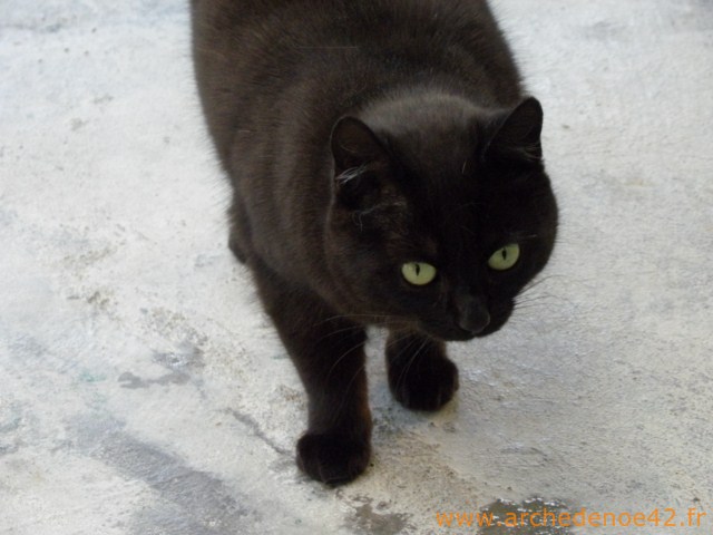 Faby