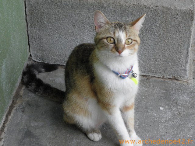 Grabriela