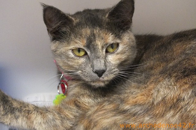 Gina