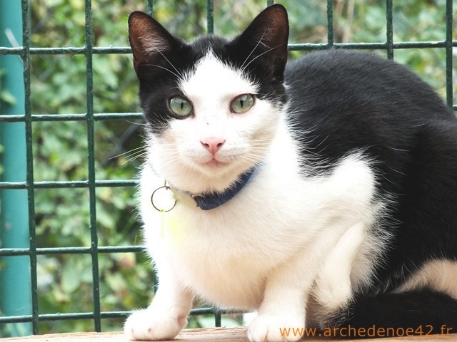 Hubert