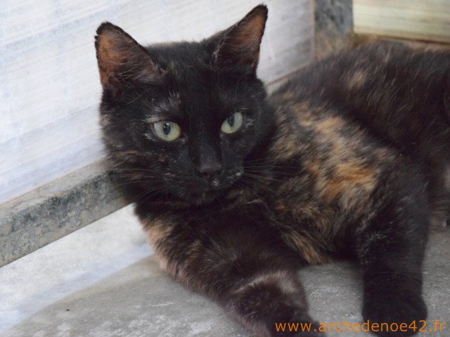 Leeloo