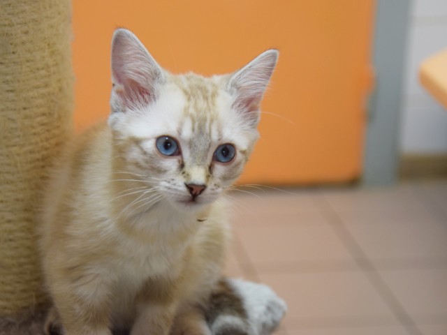 Nell