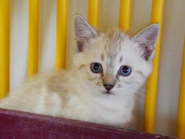 Nimbus