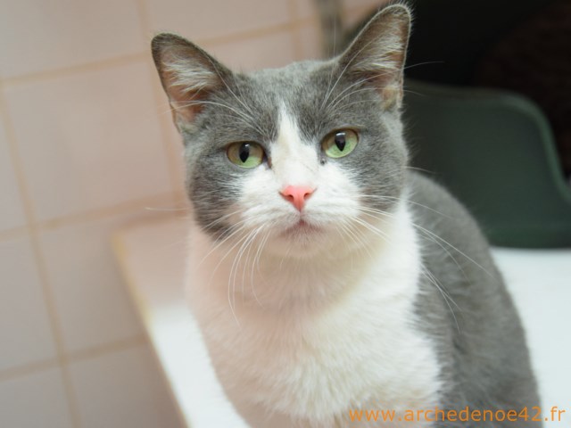 Molly