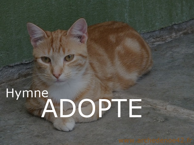 Photo de hymne