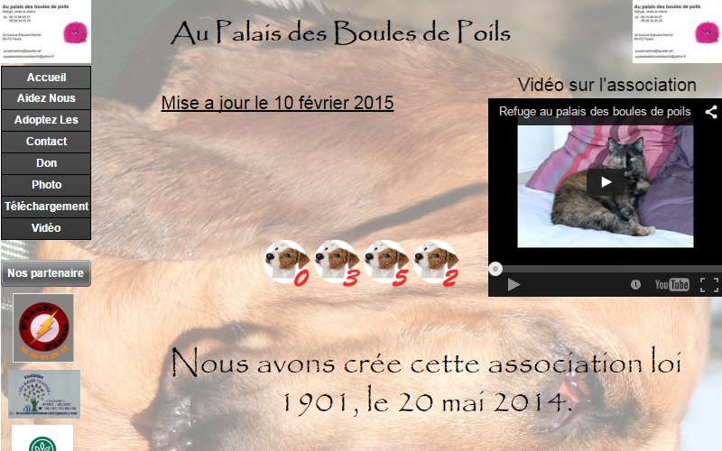 Au Palais des Boules de Poils