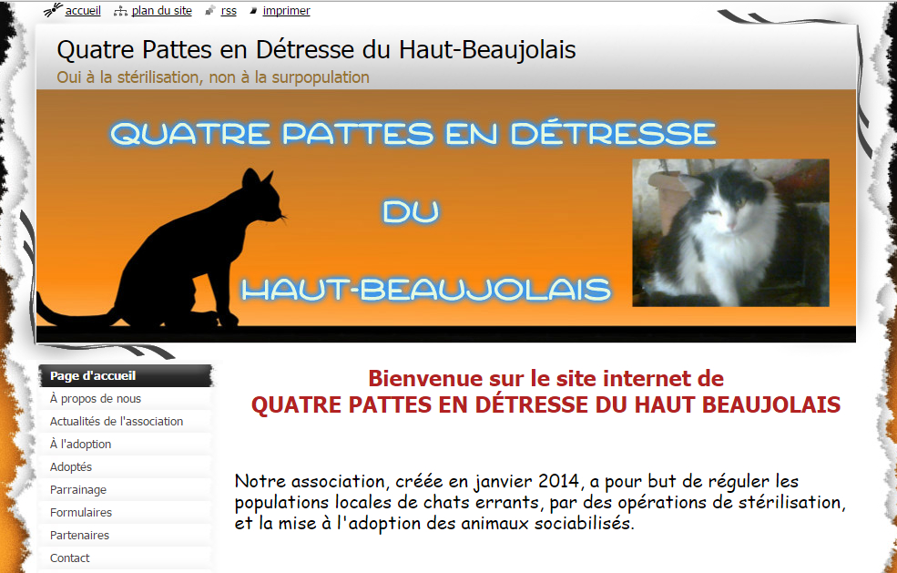 L'association Quatre Pattes en Détresse