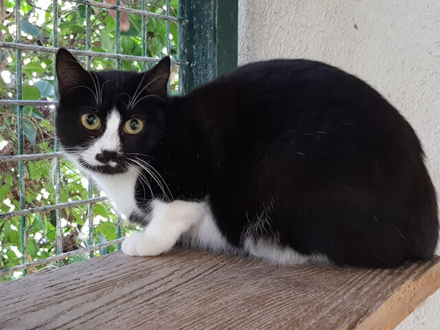 Tina