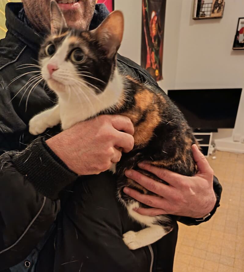 Chat trouvé